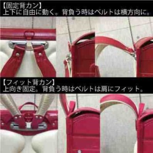 固定背カンとフィット背カンの比較