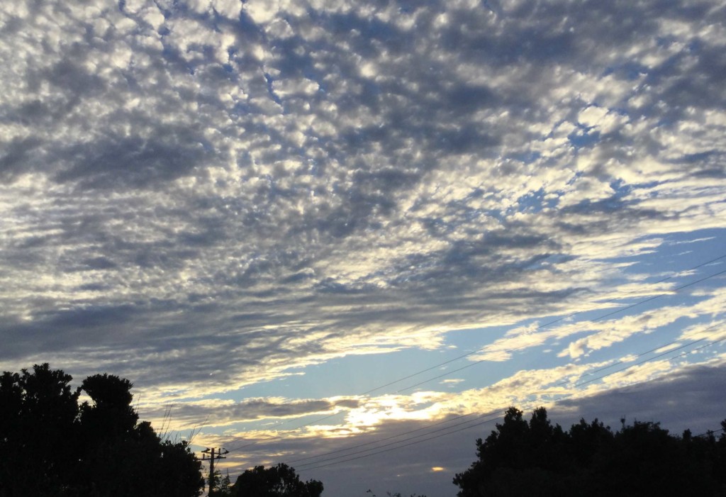 秋の空