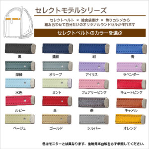2027年度用のセレクトモデルシリーズ用のセレクトベルト２０色の説明