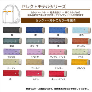 2027年度用のセレクトモデルシリーズ用のセレクトベルト２０色の説明